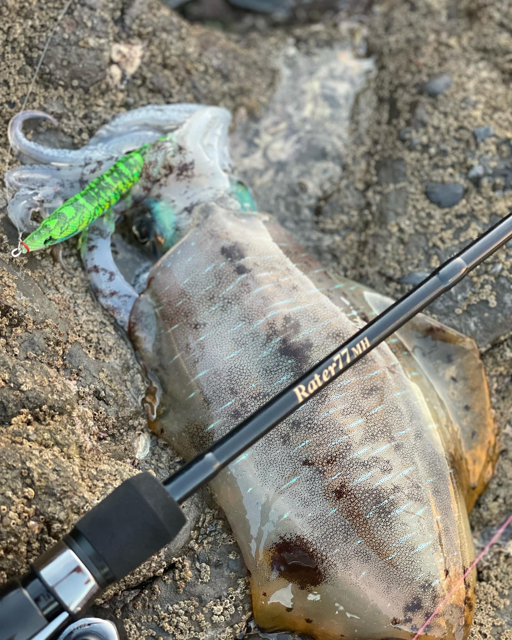 【　小さいあたりをキャッチする　】