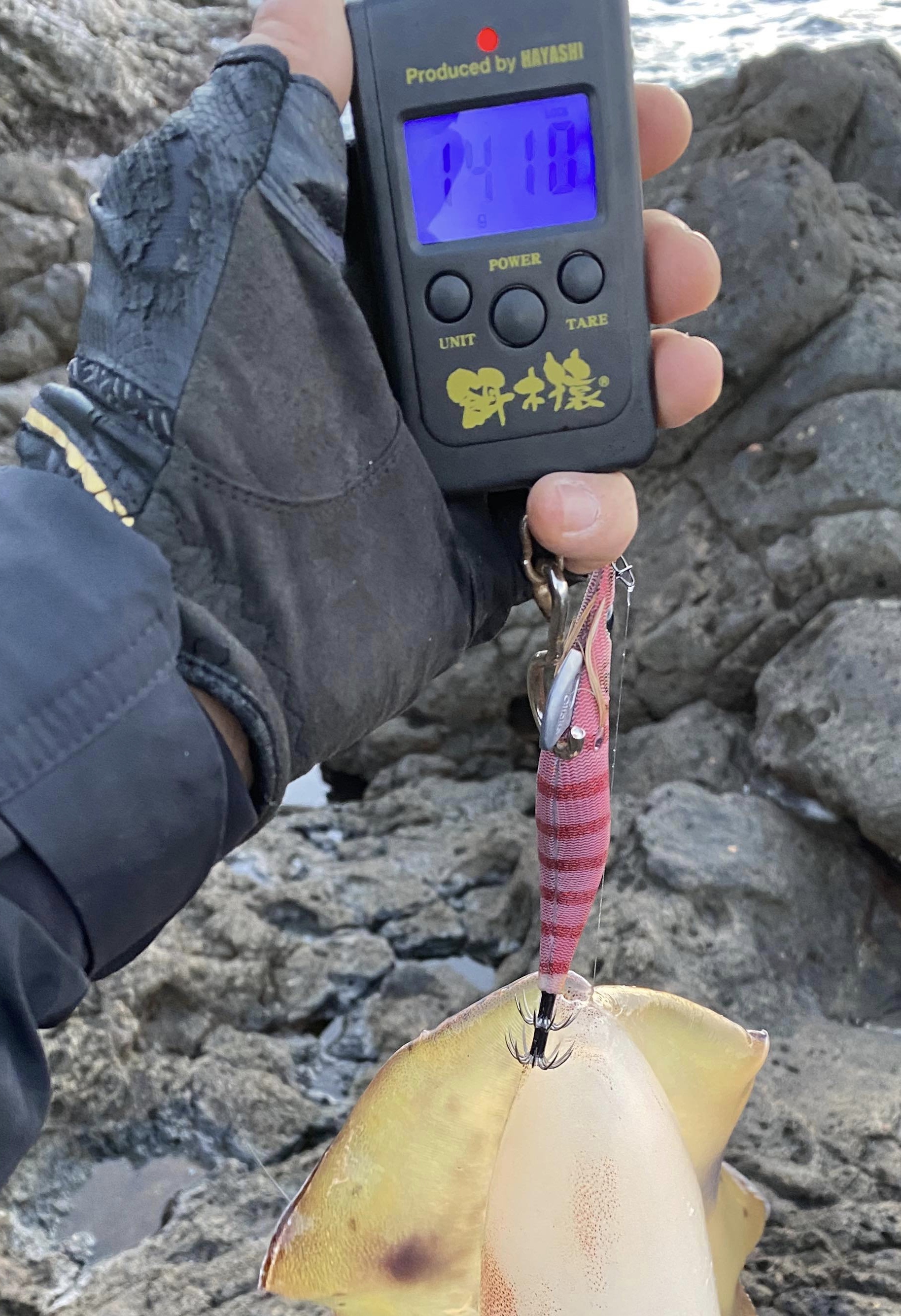 【　大潮前の潮で　】