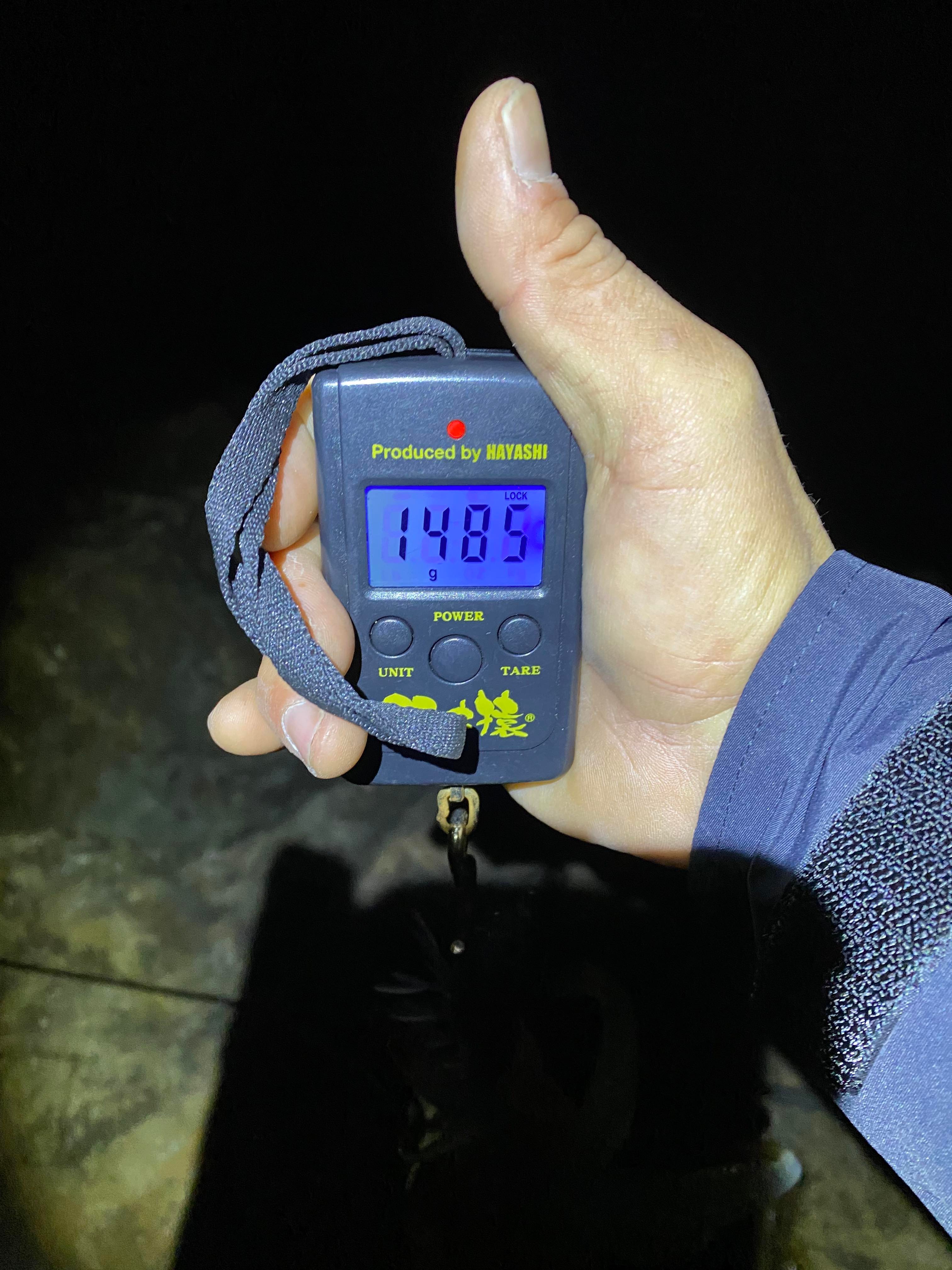 【　大潮・満月　】