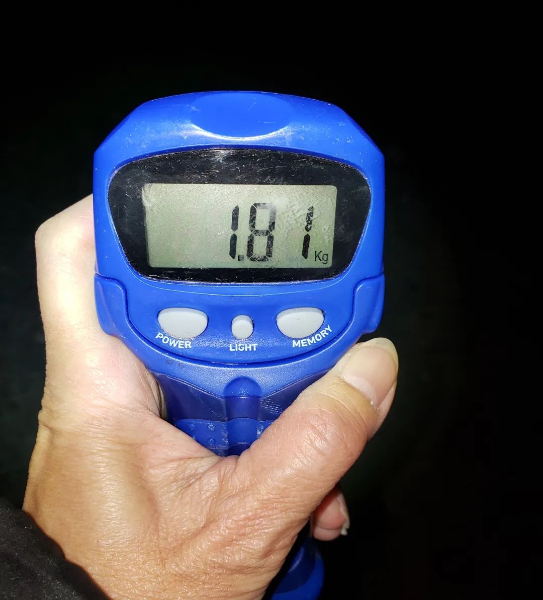 【　今日こそは　】