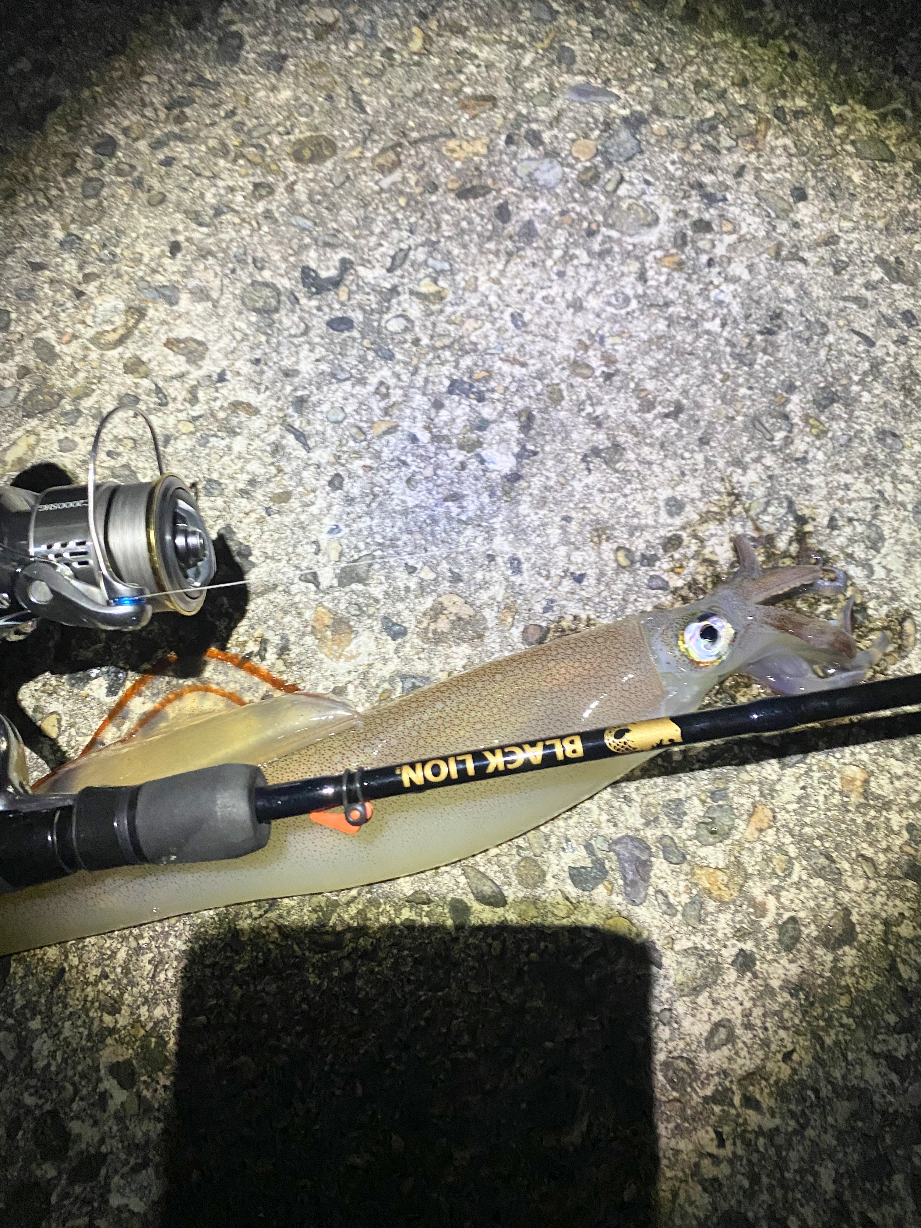 【　真冬の日本海　】