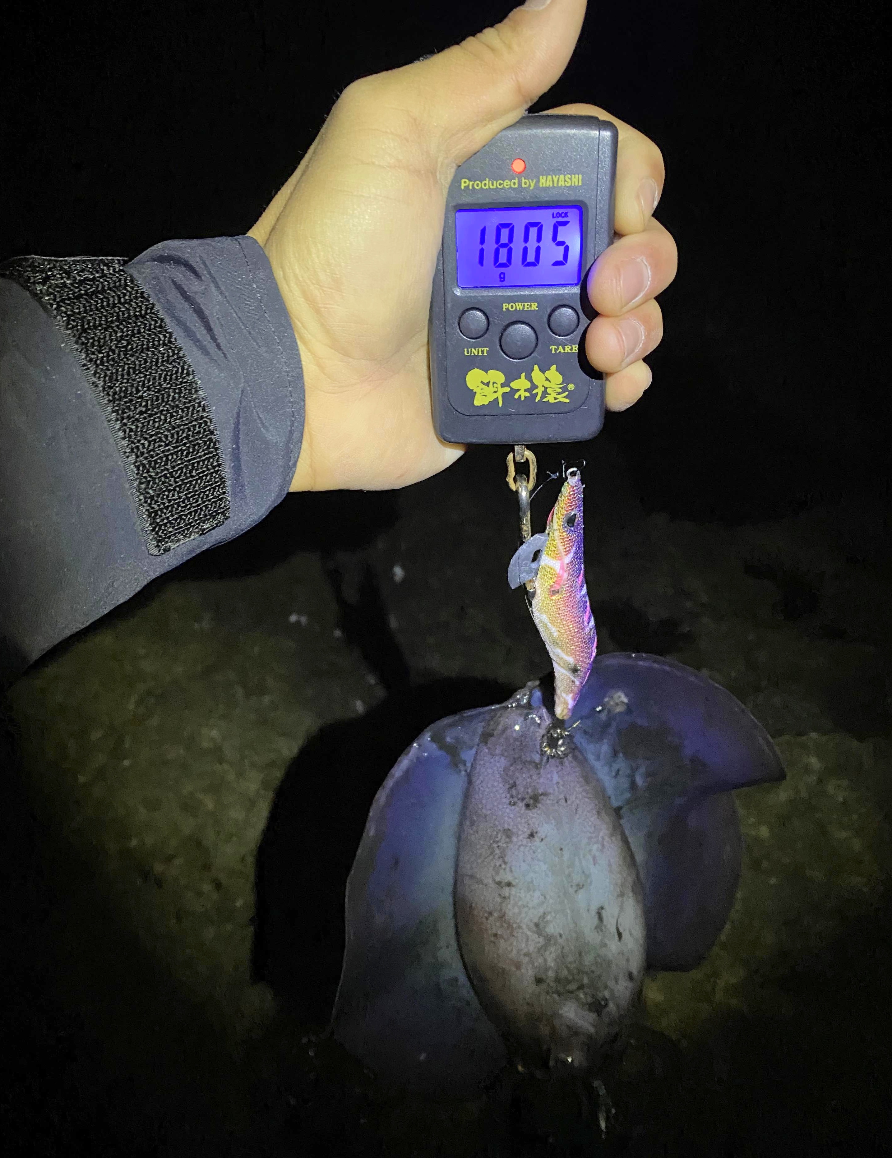 【　良型GET!　】