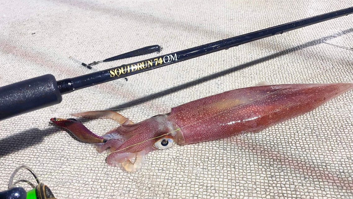 【　オモリグロッド  SQUIDRUN74OM　】