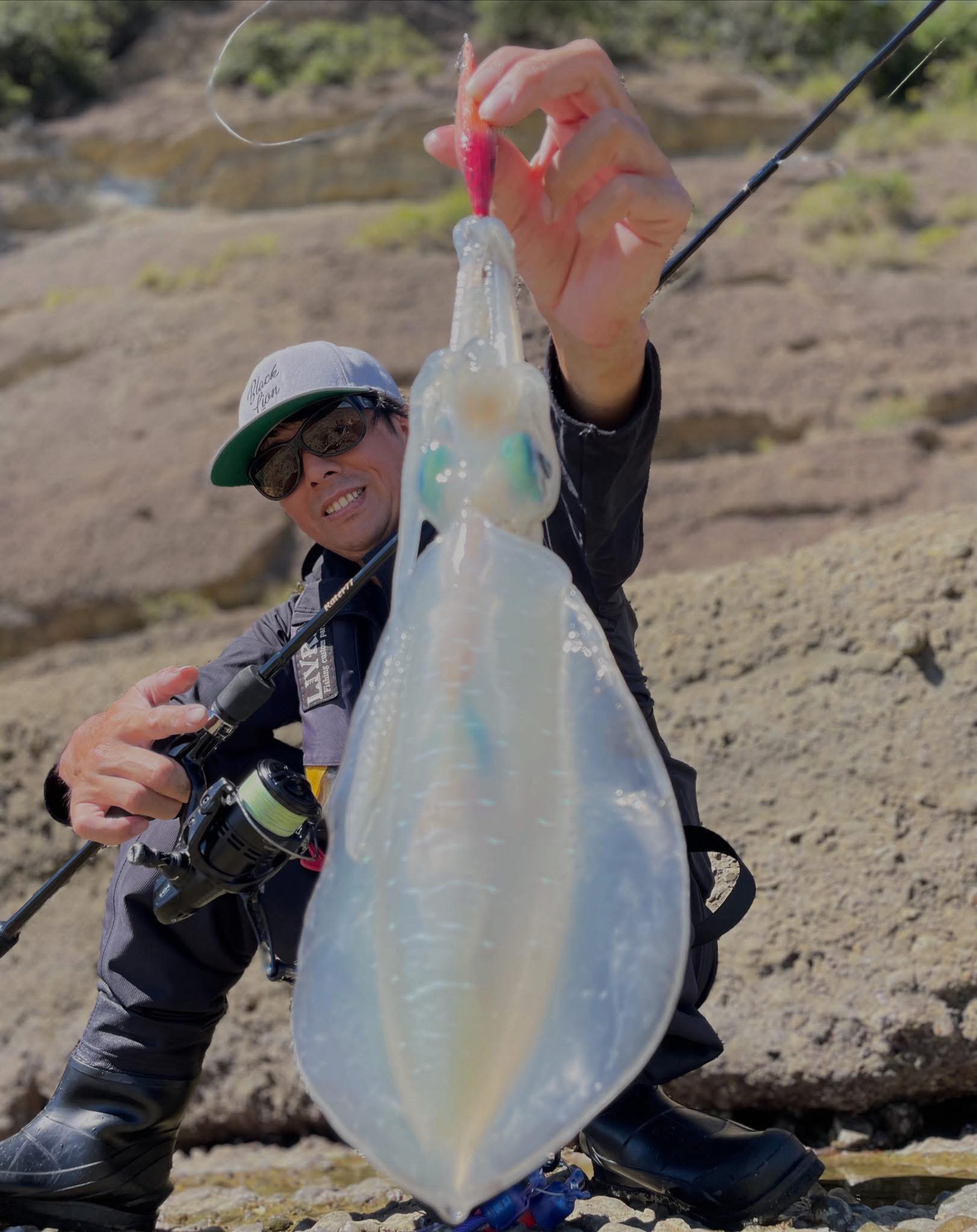 【　良型サイズも出てきました　】