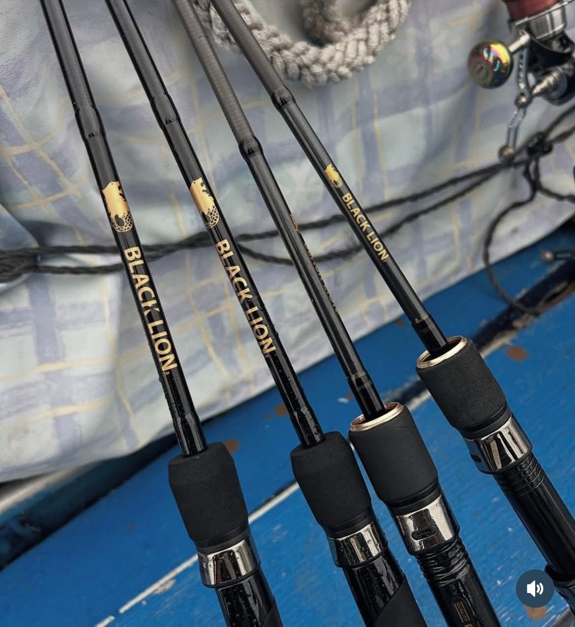 【　関東ティップラン　】