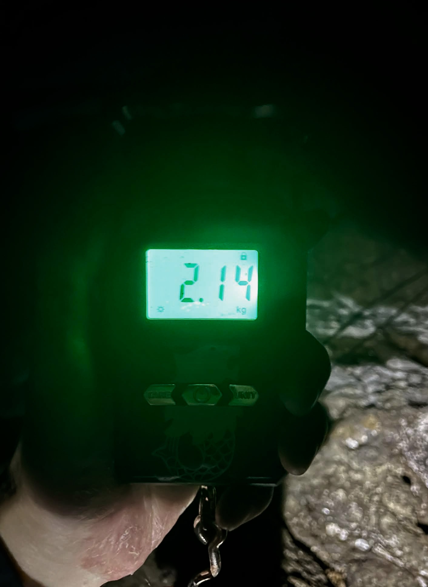 【 モンスターはラーテル87 】